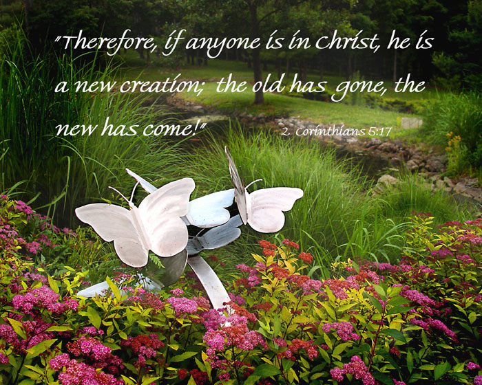 New-Life-Web.jpg