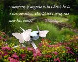 New-Life-Web.jpg