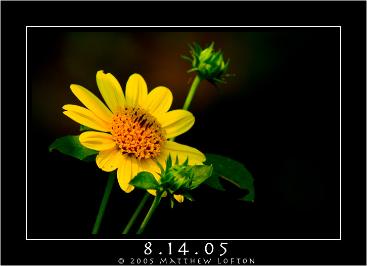 8.14.05.jpg