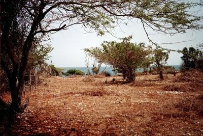 View from Roadside of Property