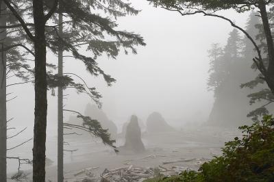 Above Ruby Beach