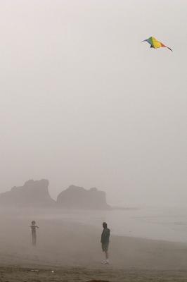 Kite in the Fog