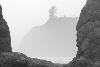 Ruby Beach 2