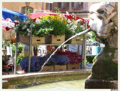 March aux fleurs d'Aix-en-Provence