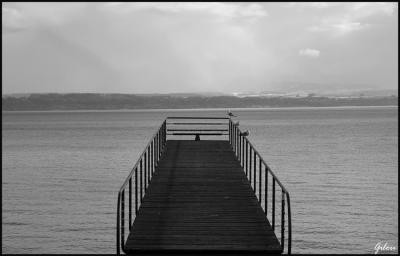 v3/80/576280/3/46659583.passerelle.laccopier.jpg