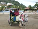horse and buggy on the beach