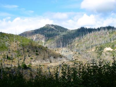 Yellowstone, Grand Teton and Glacier National Parks - September 2005