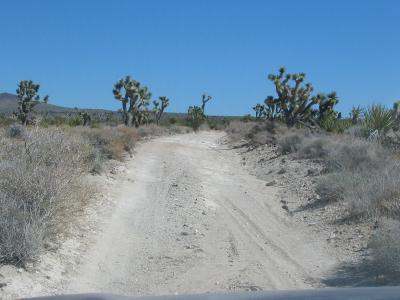 Mojave Road
