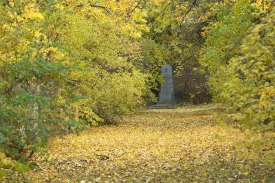 v3/80/606380/3/51336283.St.MarxCementary04.jpg