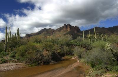 Water in the Desert