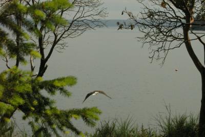 Take off