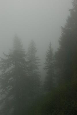 Mist view