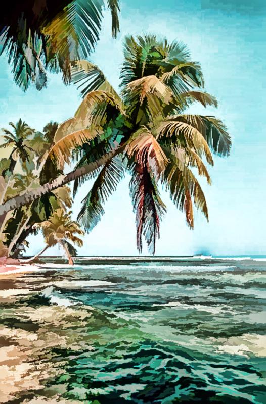 Palm Tree.jpg