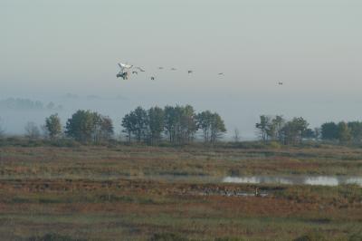 v3/80/70880/3/49703083.DSC_3536.jpg