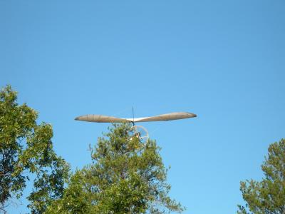 Flying at tree-top level