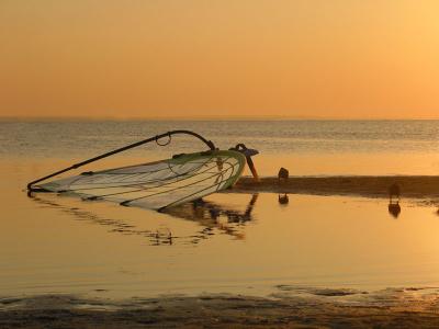 windsurf