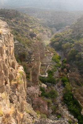 Jabal Akhdar