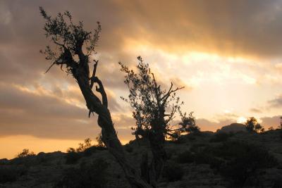 sunset at Jabal Akhdar