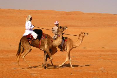 camels