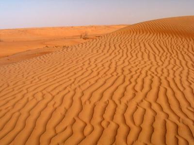 dune