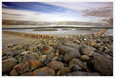 Wadden Sea