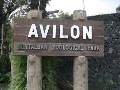 Avilon : Montalban Zoological Park
