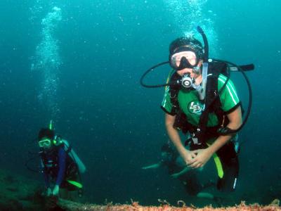 Anilao Diving