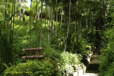  Going to Balai  (Hilltop Rooms)