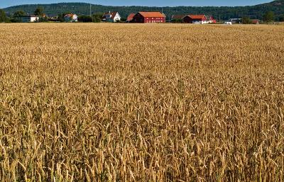 On the road in Sweden