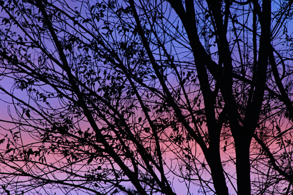 Some Where Sunset
