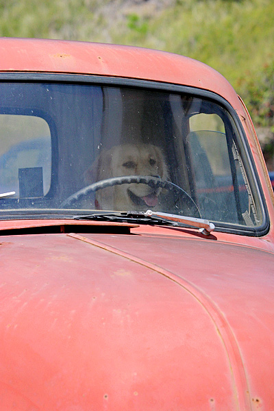 Stuck In Traffic 2093