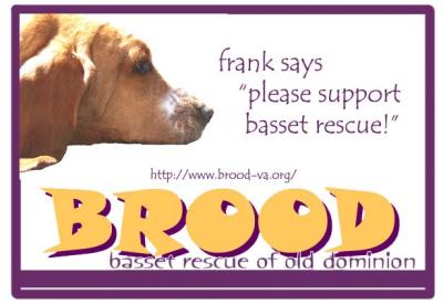 FrankBROODTshirtWhiteGroundLoRes.jpg