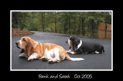 FrankAndSarah.jpg