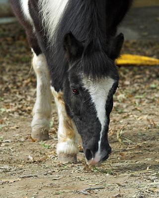 _DSC3139-01.jpg