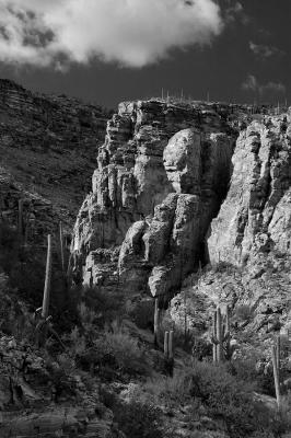 Catalina Cliffs (b&w)