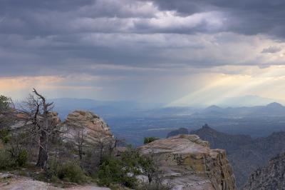 Windy Point Sunbeams #3