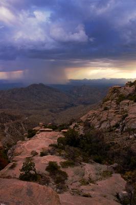 Monsoon Colors