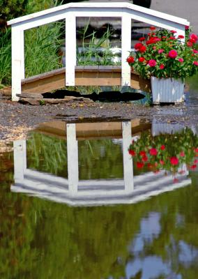 Reflection of a Bridge