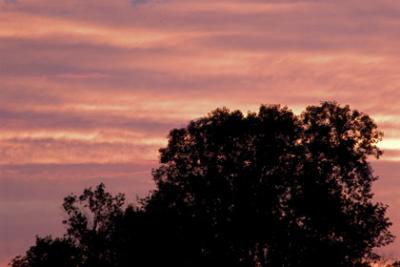 sunset3
