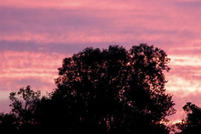 sunset4