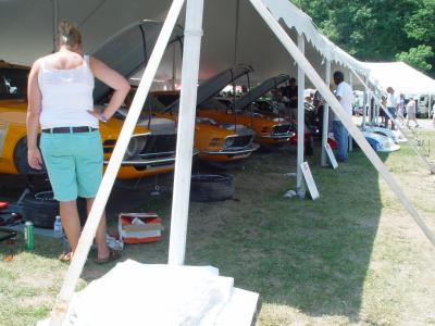 A GROUP OF VINTAGE TRANS AM MUSTANGS