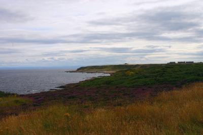 120 tarbat ness