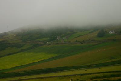 213 fog and fields