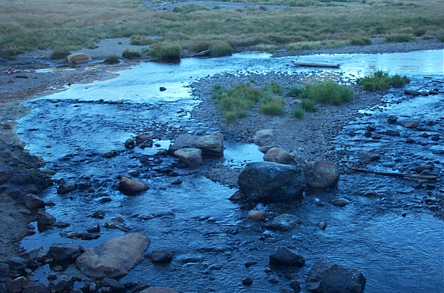 DCP_1181.JPG