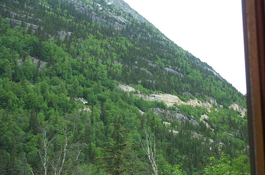 DCP_1439.JPG