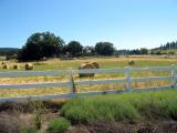 rolled hay