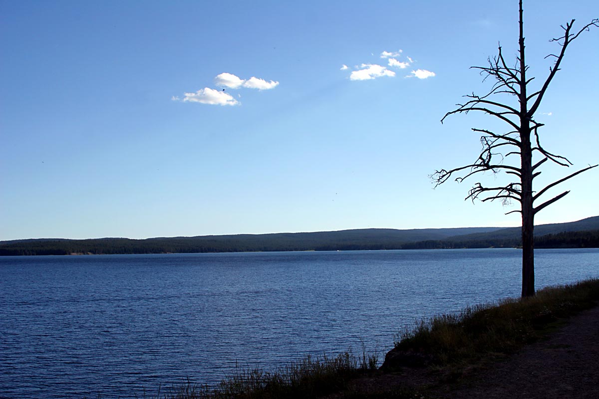 Lake Yellowstone