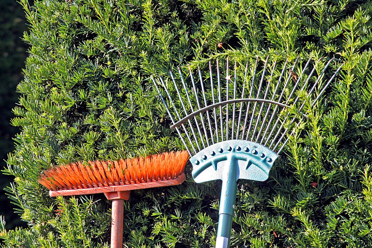 Tools of the trade