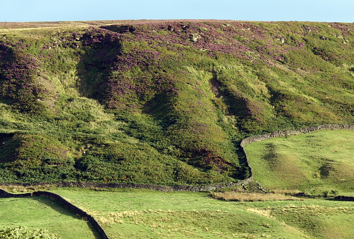 Hillside texture