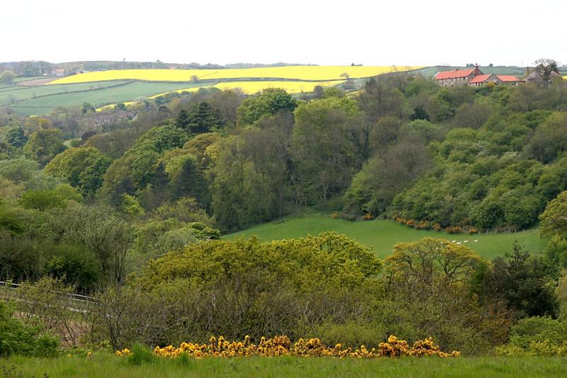 North Yorkshire